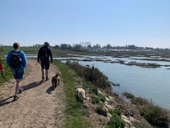 Disused oyster pits, just outside West Mersea